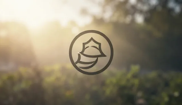 LOGO设计常见问题及宣传片制作环节解析
